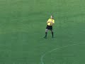 Drunk Referee
