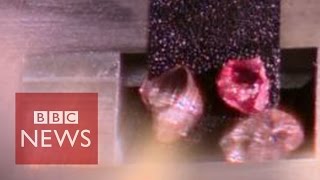 Pink Diamonds and Their Popularity