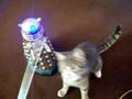 Attacked-by-Dalek-an