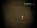 videos de DOSHAI - African Love
