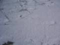 jugando al tenis nevando en ourense