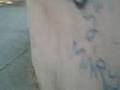 stalker asalto al mezon