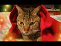 cg clips alpha channel sample
