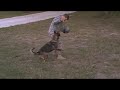 MOV02F