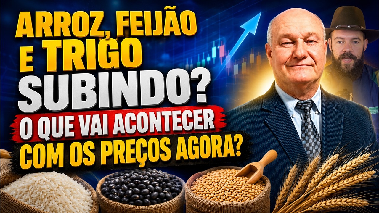 Arroz, Feijão e Trigo subindo? O que vai acontecer com os preços agora?