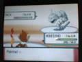 videos de Pokemon Diamomd Rival, Gyms, and Elite Four Episode 2