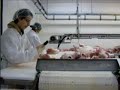 kosko élite, désosser le porc kosko élite, désosser le porc
