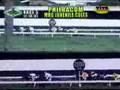 RACE-5-Nov-18-2007-D