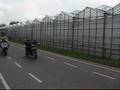Delft 180cc