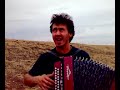 Ромашки