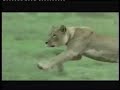 Globalnomad-nature-Where do you run-Enviromentality Globalnomad-nature-Where do you run-Enviromentality