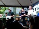 Holy Moly - The Rogues