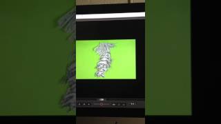 Subacuatica registro