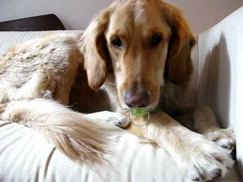 Ella and her Pacifier