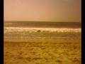 videos de playa de bucerias nayarit