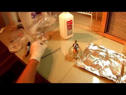 how to collect mushroom spores