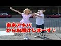 macula on japanese tv