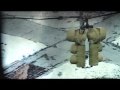 GODSPEED YOU! BLACK EMPEROR - A Tribute