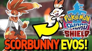 IS SCORBUNNY FAIRY TYPE?! NEW RUMORS! Scorbunny Evolution in Pokemon Sword and Shield Discussion by aDrive
