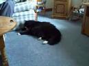 Recorded on February 07, 2007 using a Flip Video camcorder.