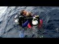 Open Water - 11. Sharks