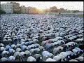 ISLAAM DHEENAI SHAKIH SAAIM ISLAAM DHEENAI SHAKIH SAAIM