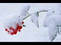 Mehmet Gümü? Korkar?m Gideceksin//www.bydigi.com Mehmet Gümü? Korkar?m Gideceksin//www.bydigi.com
