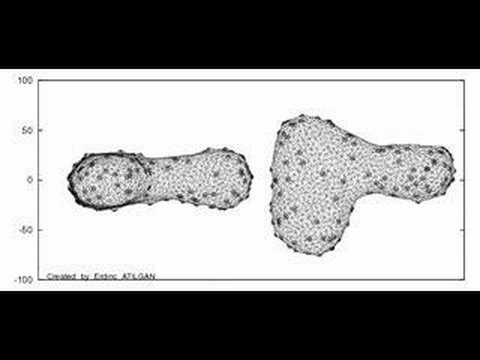 A budding liposome