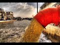 Water Pollution