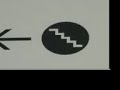 The New Museum of Contemporary Art