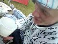 dave geht voll ab mit vieh