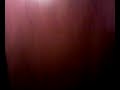 kamiel guitariste de camdeath est aux chiotes en trains de faire des mots crois�s...