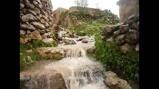 يَاسُوف يَاسُوف