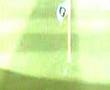 Tiger Woods 06 Hole In One