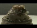 Assistir ao v�deo