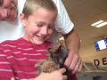 puppy's 1st plane ride