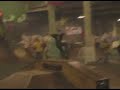 Skate Contest Hassloch