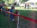 Conformation Show