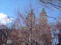 Central Park