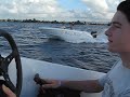 Ski off shore in Mauritius Island