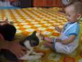 videos de Elisha dan kucing 0001