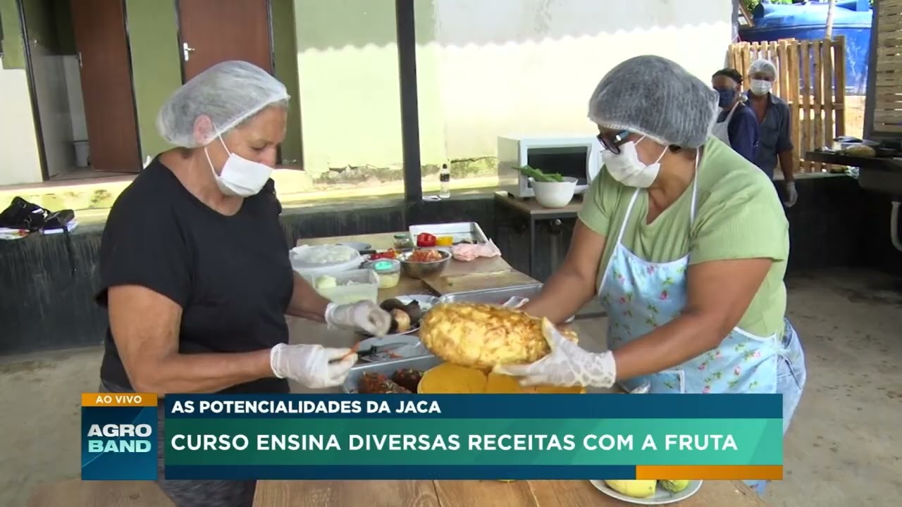As potencialidades da jaca: Curso ensina diversas receitas com a fruta