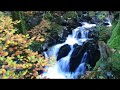 around dolgellau in snowdonia wales   photos   music