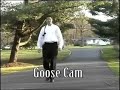 'Canadian Geese: Friends, Foes, and Feces' is a student film directed by Dave Egner. Provided by the Media and Film Department at Kean University.