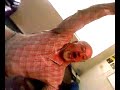 SV_A0062.mp4