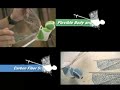DragonFly Toy in Action - Gyroscope.com