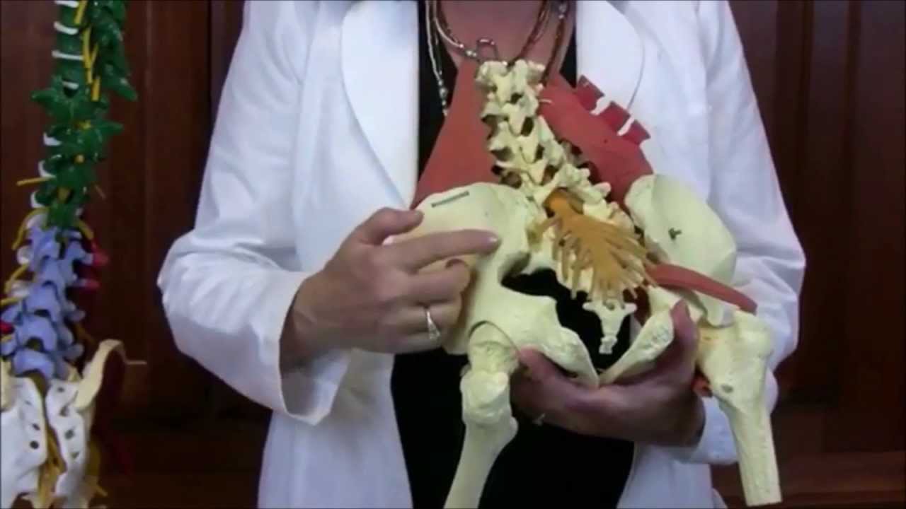 Introduction to Sacroiliac Joint Dysfunction (SI Pain) - Vicki Sims