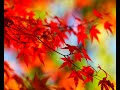Melodic Progressive House Mix