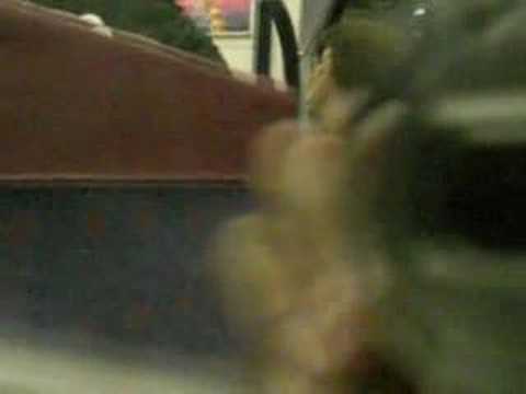 京急線の車窓