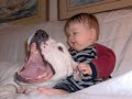 anti BSL